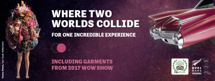 24991037_1850581638302475_7837031978498366014_n